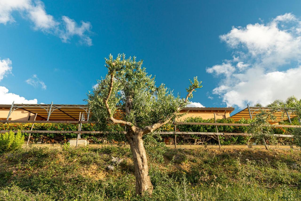 Solemar Sicilia - Le Casette Di Calzata Кампофеличе ди Рокела Екстериор снимка